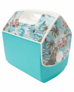 BILLABONG Billabong x Igloo Playmate Pal Cooler AQUA 11 BILLABONG Billabong x Igloo Playmate Pal Cooler AQUA -Mens accessories Sales Store abyaa00155 billabongp aqu sd1